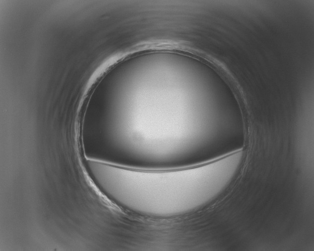 X0000085821424200703161044