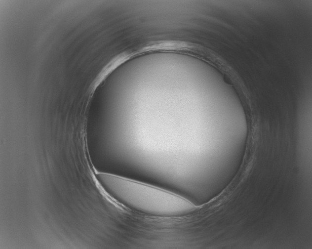 X0000085821425200703161044
