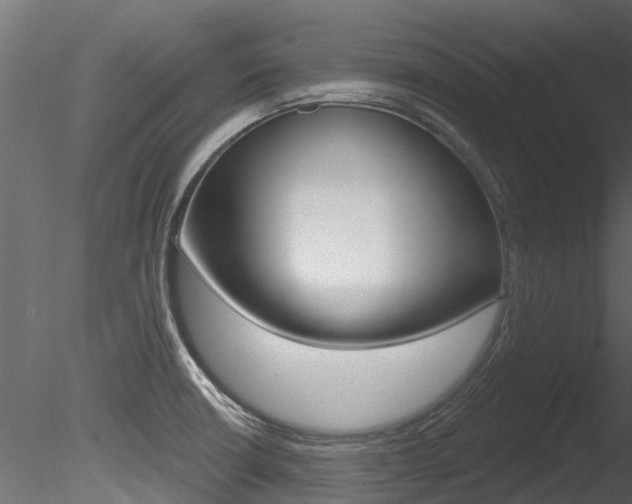 X0000085821426200703161044