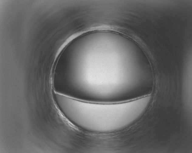 X0000085821428200703161044