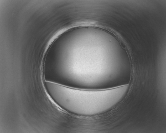 X0000085821432200703161044