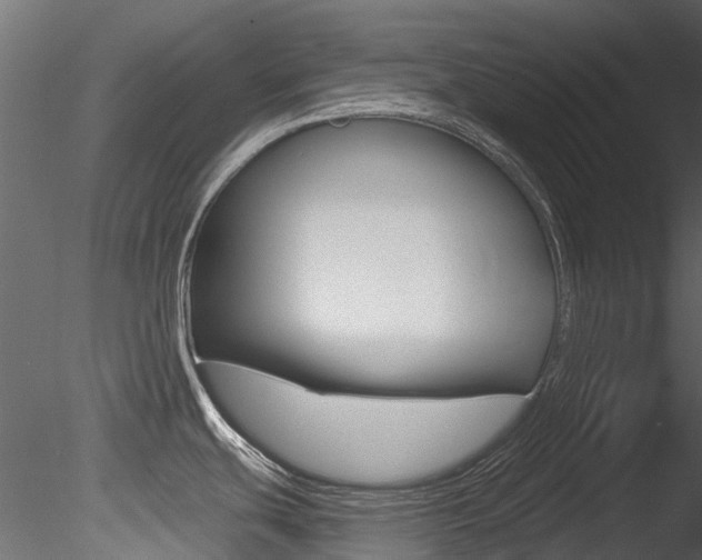 X0000085821439200703161044