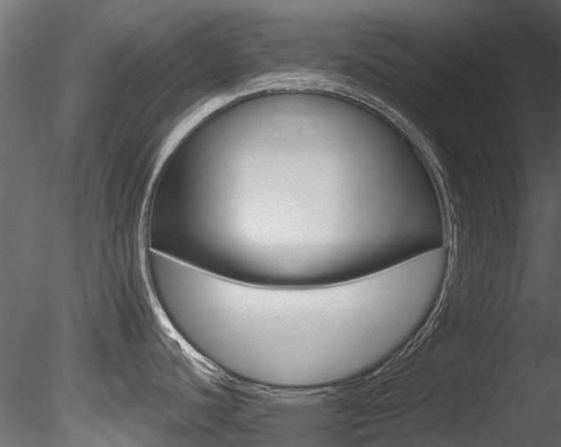 X0000085821440200703161044