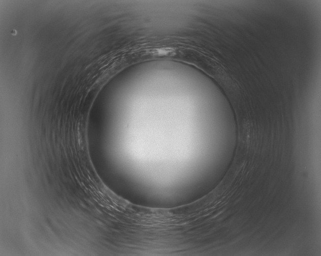 X0000085821442200703161043