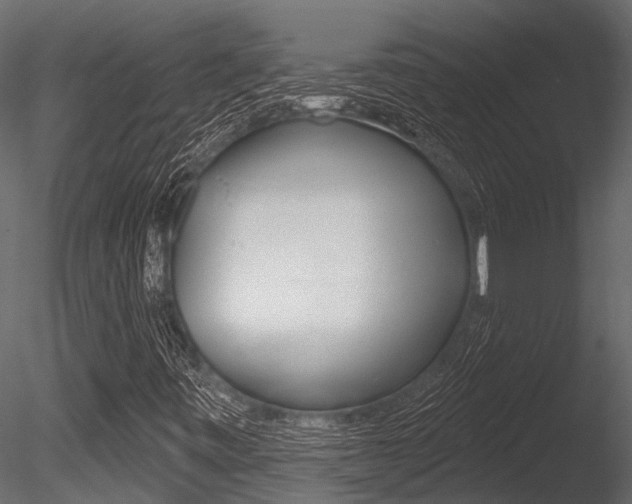 X0000085821443200703161043