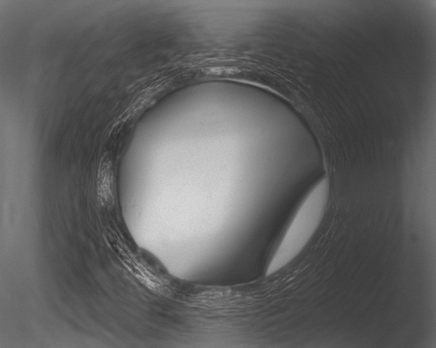 X0000085821444200703161043
