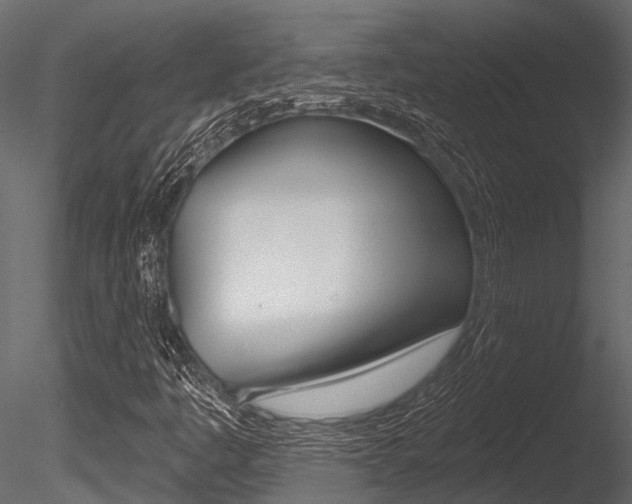 X0000085821445200703161043