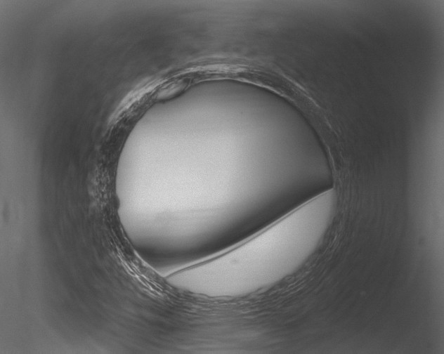 X0000085821448200703161043