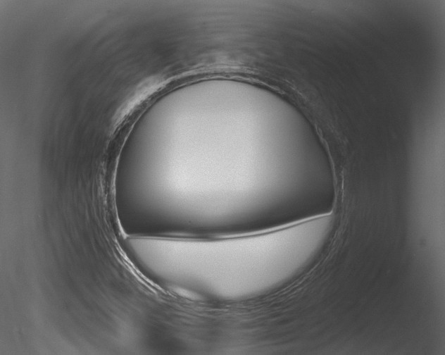 X0000085821452200703161043