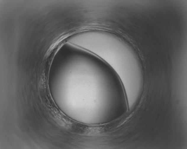 X0000085821453200703161043