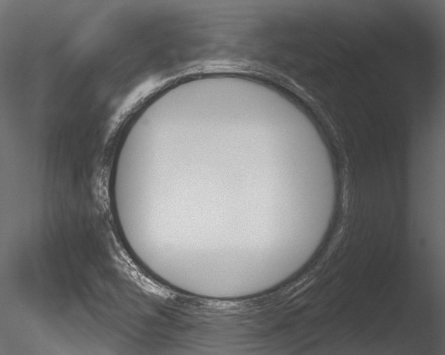 X0000085821454200703161043