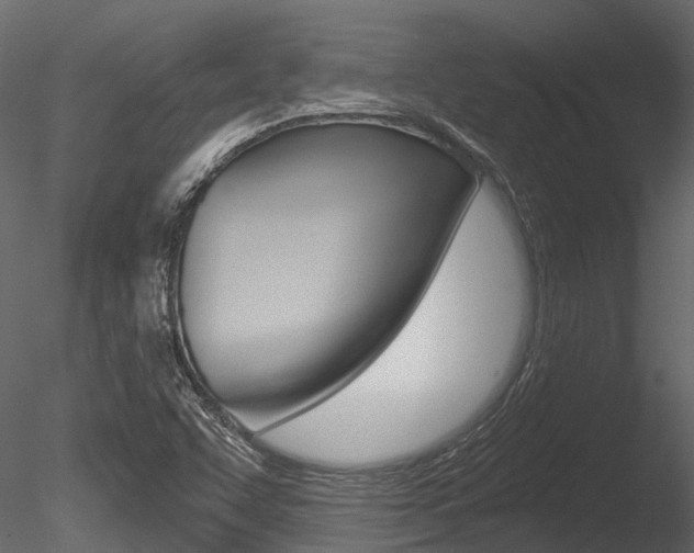 X0000085821455200703161043