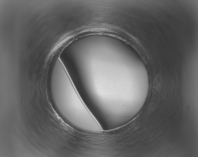 X0000085821456200703161043
