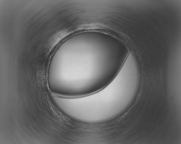 X0000085821457200703161043