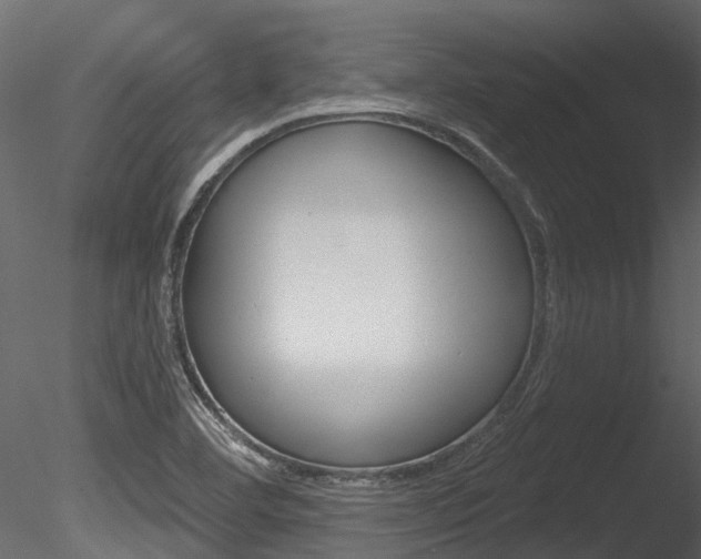 X0000085821460200703161043