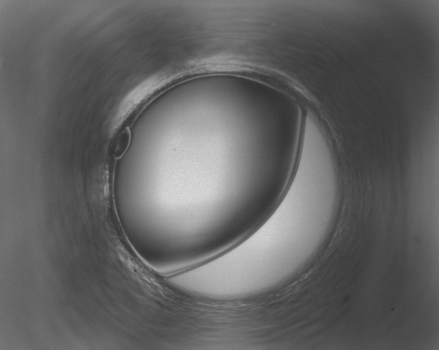 X0000085821461200703161043