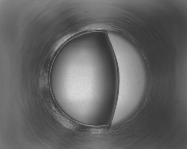 X0000085821465200703161043
