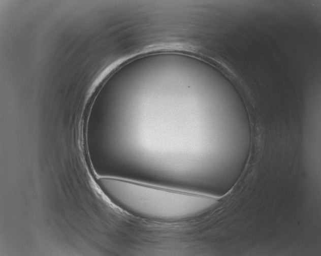 X0000085821468200703161043