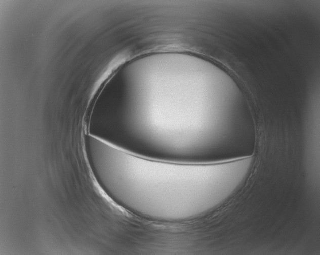 X0000085821476200703161042