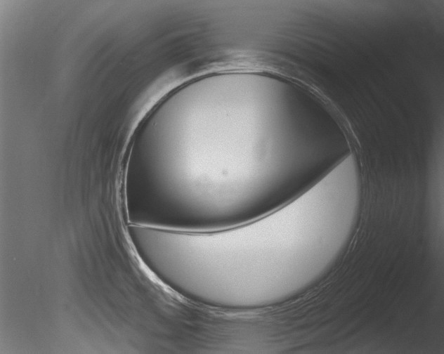 X0000085821484200703161042