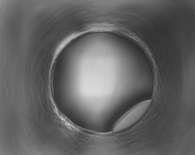 X0000085821488200703161042