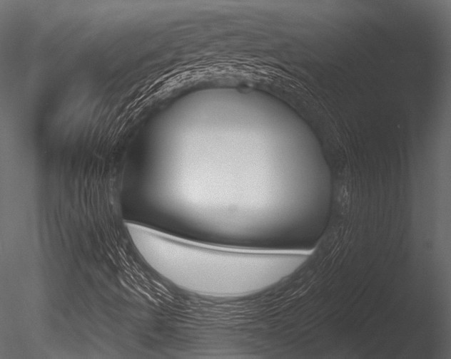 X0000085821490200703161041