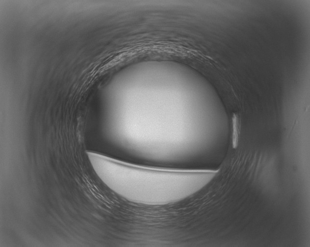 X0000085821491200703161041