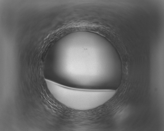 X0000085821493200703161041