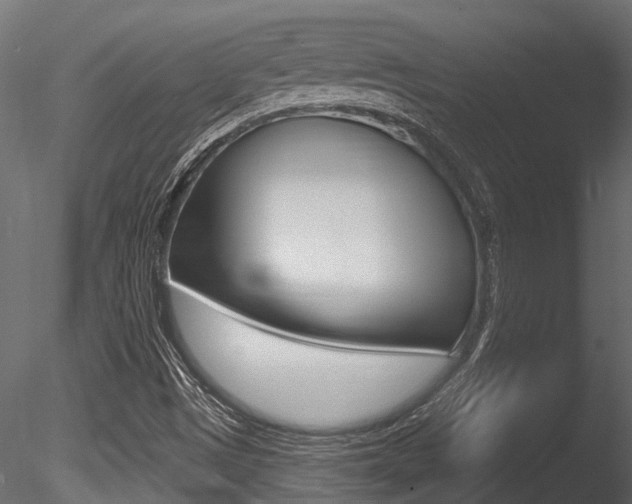 X0000085821497200703161041