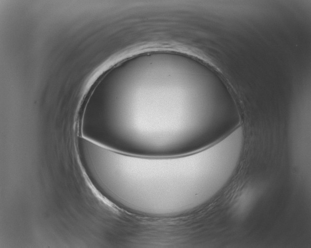 X0000085821519200703161042