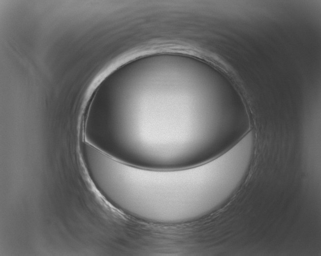X0000085821520200703161042