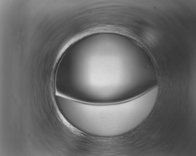 X0000085821531200703161042