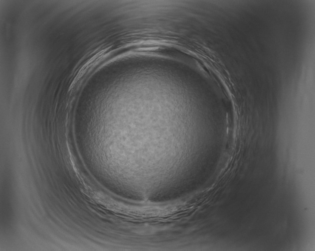 X0000085820001200703161235