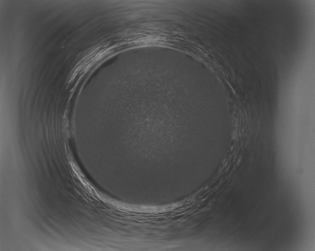 X0000085820002200703161235