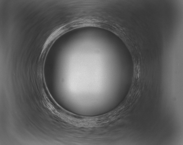 X0000085820004200703161235