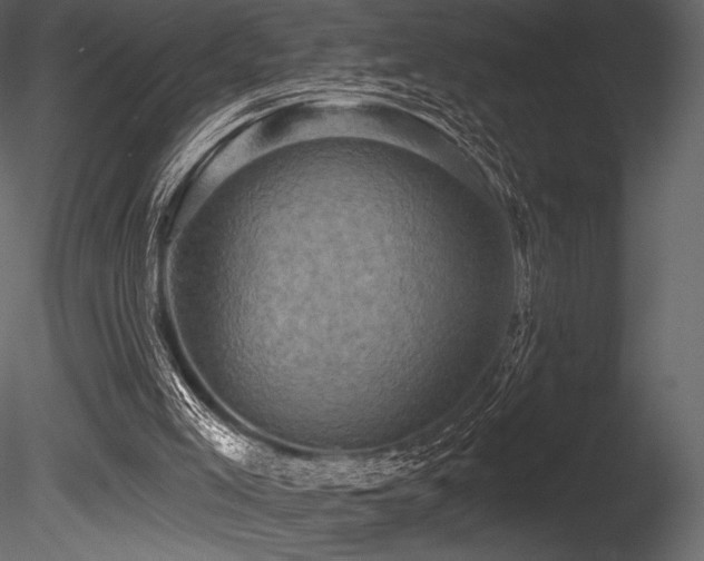 X0000085820005200703161235
