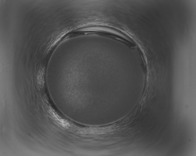 X0000085820009200703161235