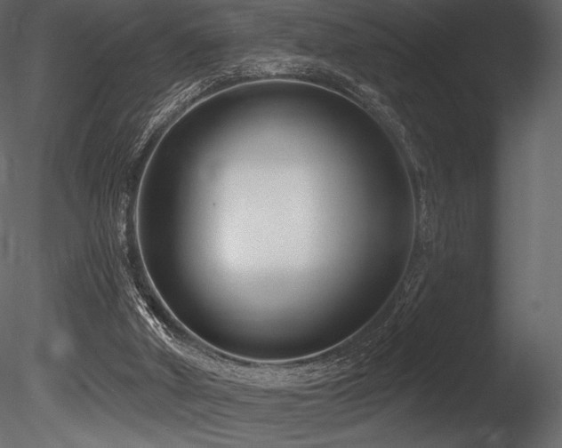 X0000085820010200703161235