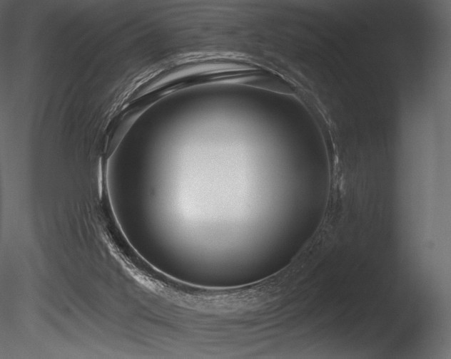 X0000085820013200703161235