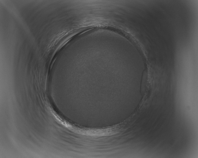 X0000085820017200703161235