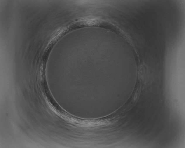 X0000085820018200703161235