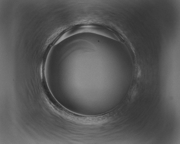 X0000085820019200703161235