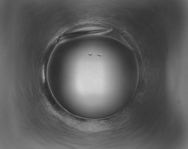X0000085820020200703161235