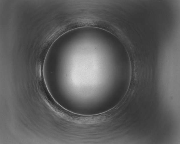 X0000085820021200703161235