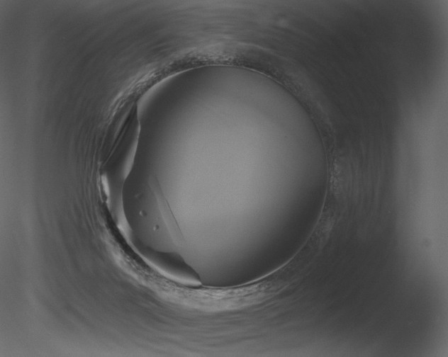 X0000085820023200703161235