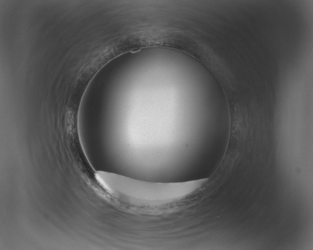 X0000085820025200703161235