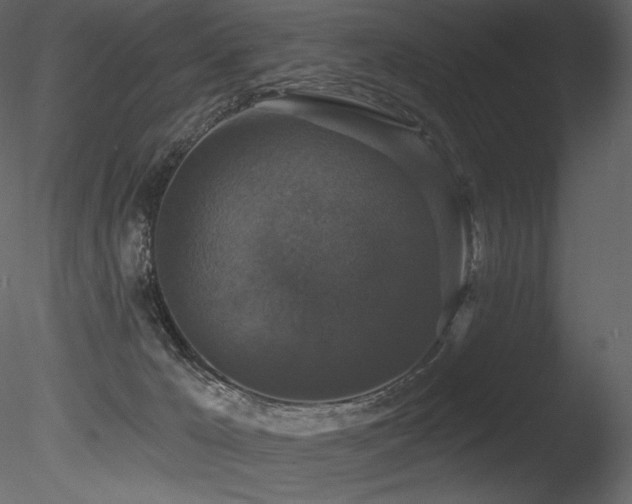 X0000085820029200703161234