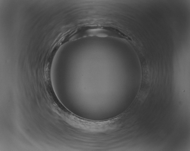 X0000085820035200703161234