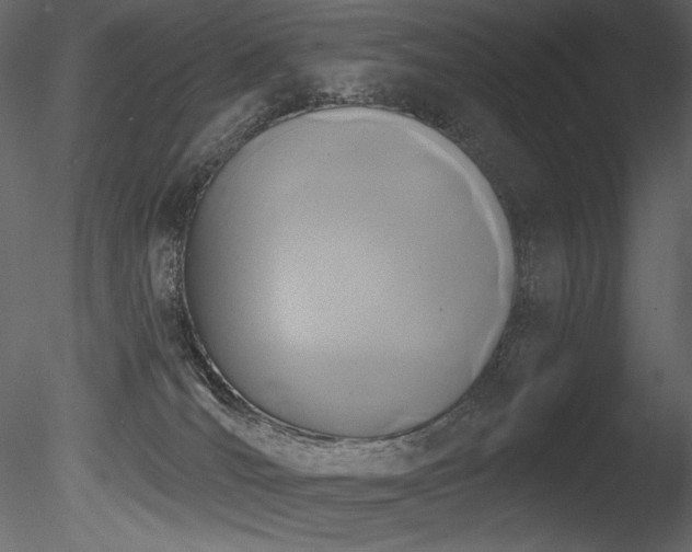 X0000085820036200703161234