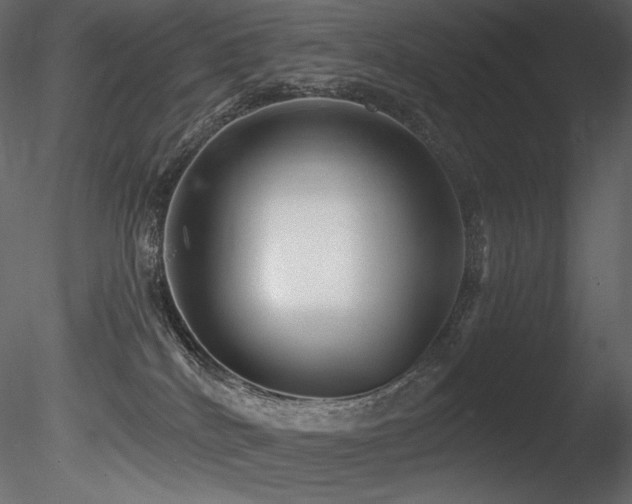 X0000085820040200703161234